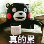李明霖和网红撕逼3个月,想过娱乐圈会怎么看他弟弟李宏毅吗?